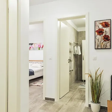 Elegant Sophia's Appartement Braşov