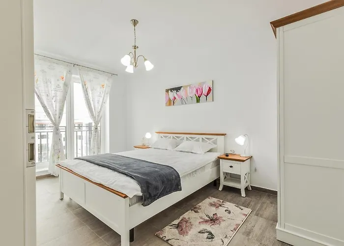 Elegant Sophia's Brasov