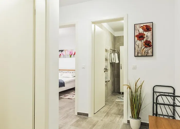 Elegant Sophia's Apartment Brasov