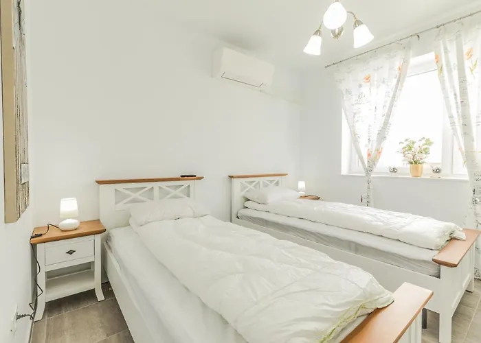 Elegant Sophia's Brasov